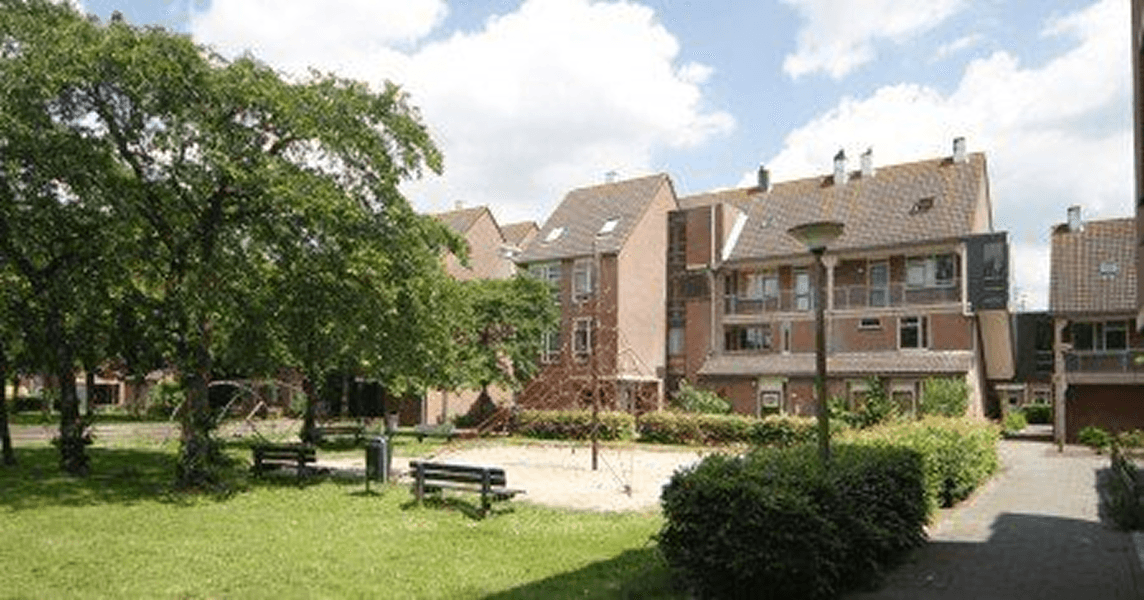 Geinlijn: verhalen uit de wijk