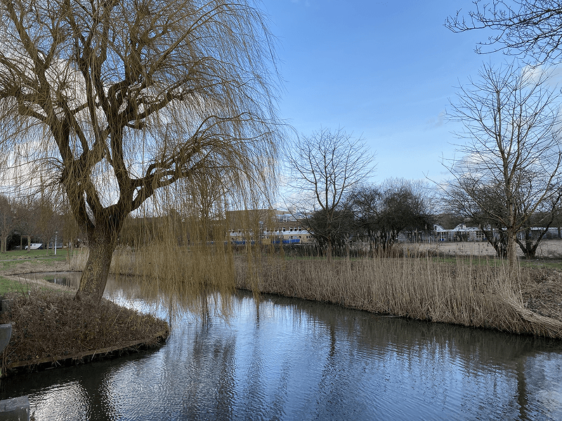 Het Buurtplatform zoekt jou!